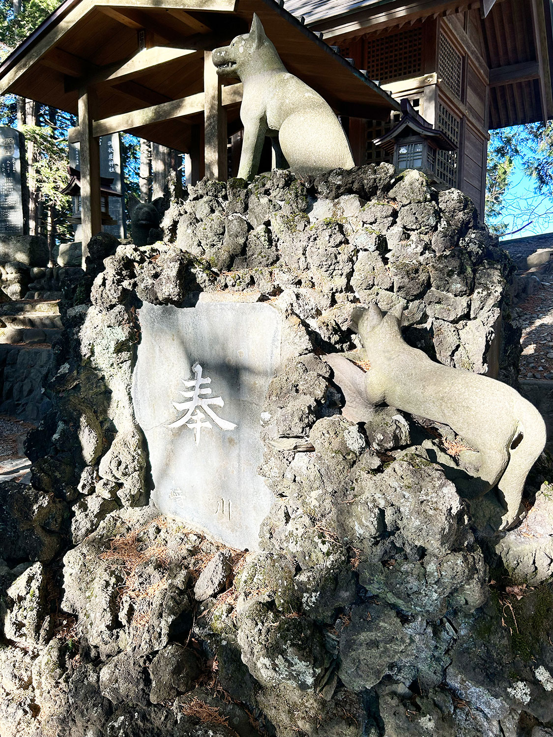 こちらにも二匹