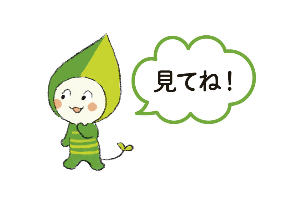 見てね！