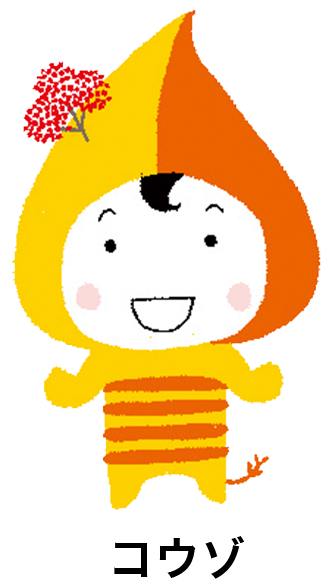 コウゾ
