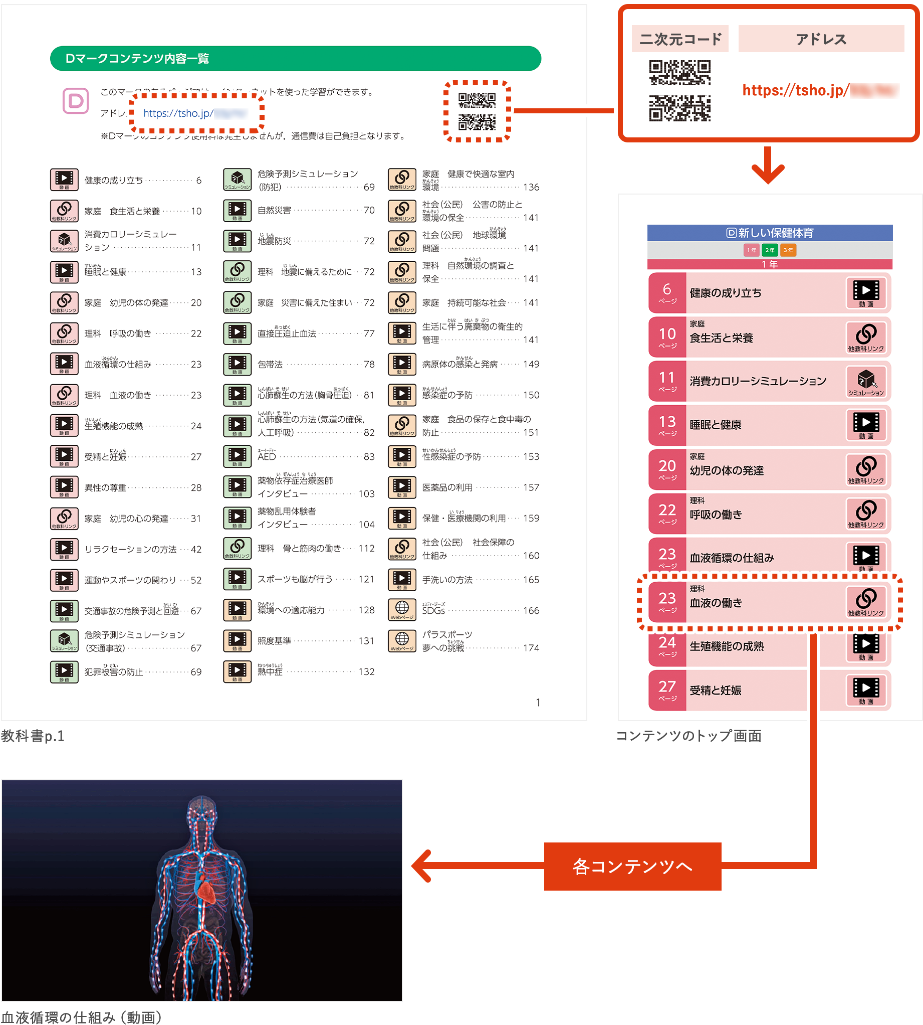コンテンツへのアクセス方法