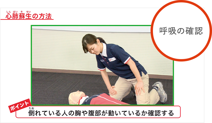 心肺蘇生の方法（胸骨圧迫）