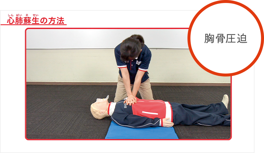 心肺蘇生の方法（胸骨圧迫）