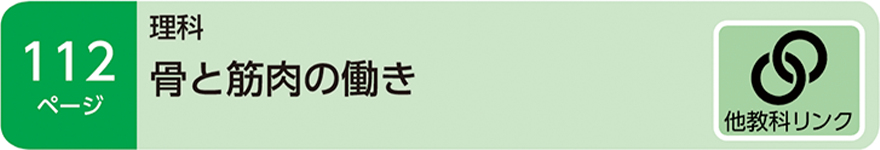 他教科リンク
